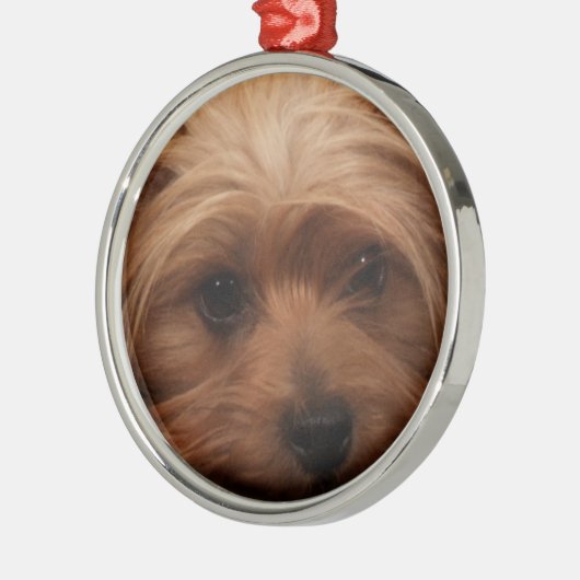 ヨークシャーテリアまたはあなたの犬の写真クリスマス メタルオーナメント (左)