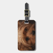 ヨークシャーテリアまたはYour Dog写真 ラゲッジタグ (正面縦)