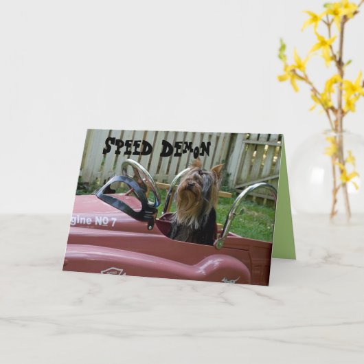 ヨークシャーテリアイン車誕生日 カード (黄色い花)