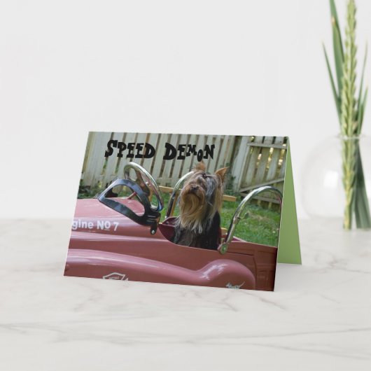ヨークシャーテリアイン車誕生日 カード (正面)