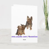 ヨークシャーテリアエッグ – トラノーマルイースターウィッシュ シーズンカード (裏面)