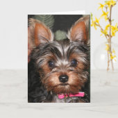 ヨークシャーテリアカード カード (黄色い花)
