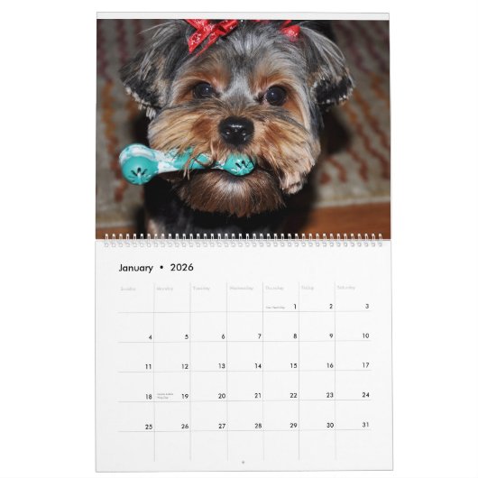 ヨークシャーテリアキュートヨークシャーテリア2024カレンダー カレンダー (1月 2026)