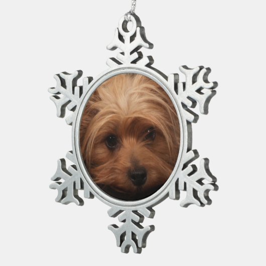 ヨークシャーテリアクラシックパウト スノーフレークピューターオーナメント (右)