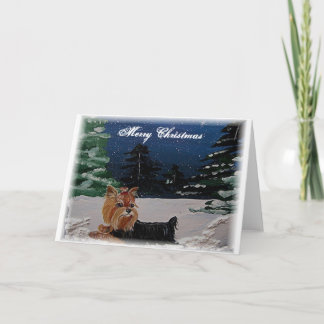 ヨークシャーテリアクリスマスカード シーズンカード