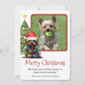 ヨークシャーテリアクリスマスペットドッグワンフォト シーズンカード (正面)