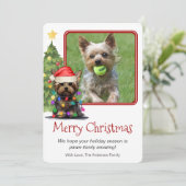 ヨークシャーテリアクリスマスペットドッグワンフォト シーズンカード (スタンド正面)