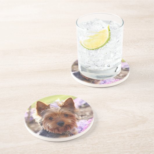 ヨークシャーテリアコースター コースター (側面)