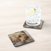 ヨークシャーテリアザック コースター (右側)