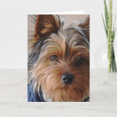 ヨークシャーテリアテリアの挨拶状 カード (正面)