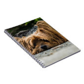 ヨークシャーテリアドッグ ノートブック (右側)