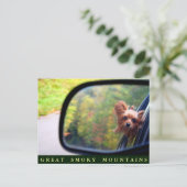 ヨークシャーテリアドッグ – 秋の乗り – 素晴らしスモーク山脈 ポストカード (スタンド正面)