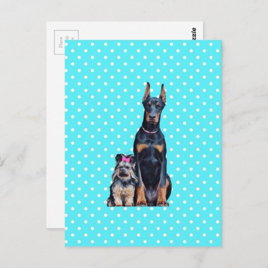 ヨークシャーテリアドバーマンブルー水玉模様 ポストカード (正面/裏面)