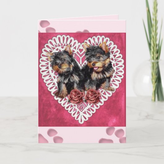 ヨークシャーテリアパピズヴァレンティネス シーズンカード (正面)