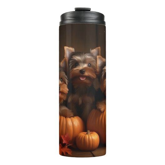 ヨークシャーテリアパピーオータムデライトカボチャ タンブラー (正面)