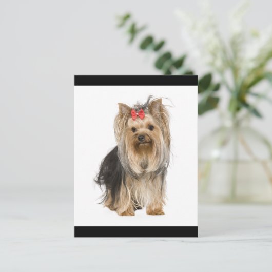 ヨークシャーテリアパピードッグ空白のはがき ポストカード (スタンド正面)