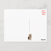 ヨークシャーテリアパピードッグ空白のはがき ポストカード (裏面)