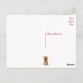 ヨークシャーテリアパピードッグ空白のヨークシャーテリアはがき ポストカード (裏面)