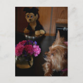 ヨークシャーテリアパピーラブバレンタインデー写真 ポストカード (正面)