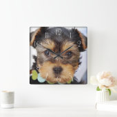 ヨークシャーテリアパピー スクエア壁時計 (ホーム)