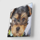 ヨークシャーテリアパピー スクエア壁時計 (傾斜)