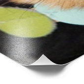 ヨークシャーテリアパピー フォトプリント            (角)