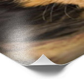 ヨークシャーテリアパピー フォトプリント            (角)