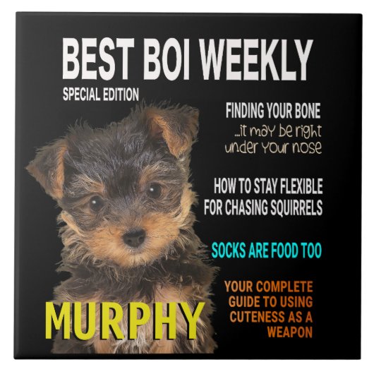 ヨークシャーテリアパロディ雑誌の表紙 タイル (正面)