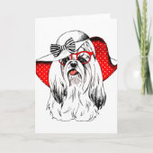 ヨークシャーテリアファッション撮影 カード (正面)