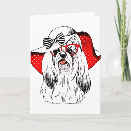 ヨークシャーテリアファッション撮影 カード (正面)