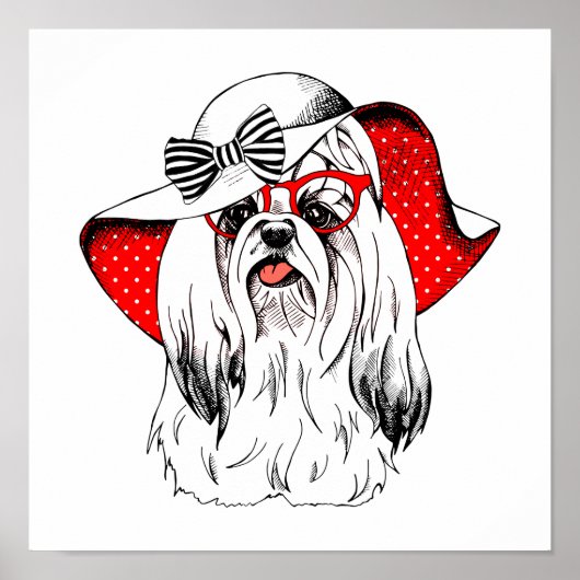 ヨークシャーテリアファッション撮影 ポスター (正面)