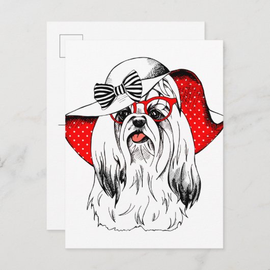 ヨークシャーテリアファッション撮影 ポストカード (正面/裏面)