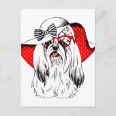 ヨークシャーテリアファッション撮影 ポストカード (正面)