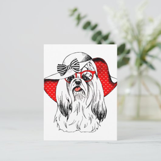 ヨークシャーテリアファッション撮影 ポストカード (スタンド正面)