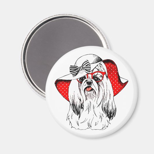 ヨークシャーテリアファッション撮影 マグネット (正面/裏面)