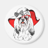 ヨークシャーテリアファッション撮影 マグネット (正面)