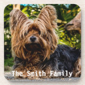 ヨークシャーテリアプラスチックコースター コースター (正面)