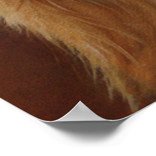 ヨークシャーテリアポスター ポスター (角)