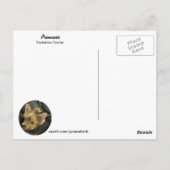 ヨークシャーテリアポストカード ポストカード (裏面)