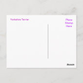 ヨークシャーテリアポストカード ポストカード (裏面)