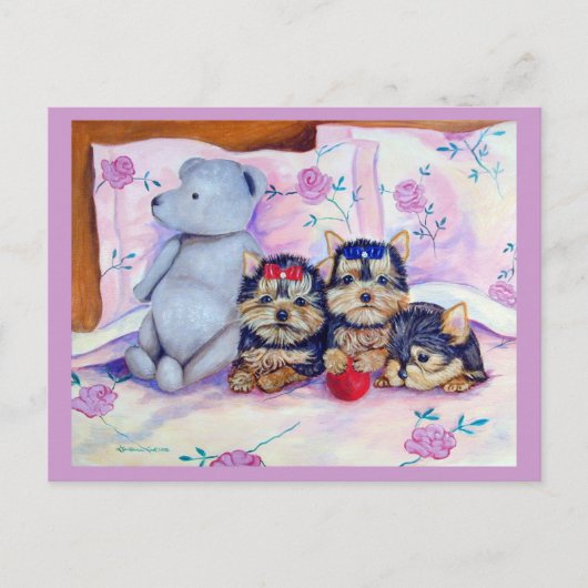 ヨークシャーテリアポストカード ポストカード (正面)
