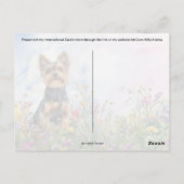 ヨークシャーテリアポストクロッシング – ポストカード (裏面)