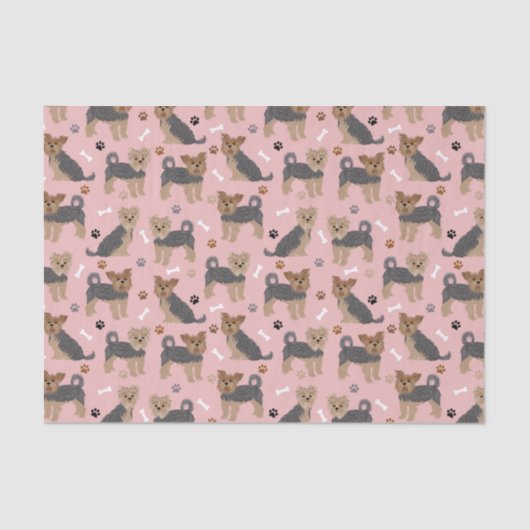 ヨークシャーテリアポーズアンドボーンズヨークシャーテリア犬 薄葉紙 (正面)