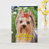 ヨークシャーテリアマザーズデイカード カード (黄色い花)