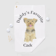 ヨークシャーテリアヨークシャーテリア