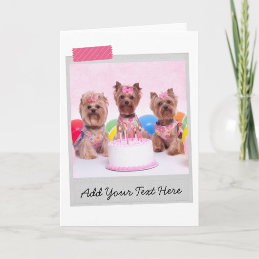 ヨークシャーテリアーズヨークシャーテリアお誕生日ケーキ カード (正面)