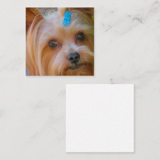 ヨークシャーテリアーヨークシャーテリアお気に入りのブリード エンクロージャーカード (正面/裏面)