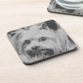 ヨークシャーテリアーヨークシャーテリアお気に入りのブリード コースター (左側)