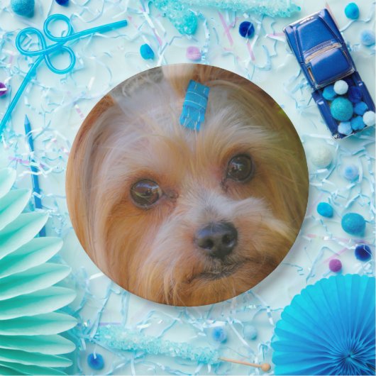 ヨークシャーテリアーヨークシャーテリアお気に入りのブリード ペーパープレート (パーティー)