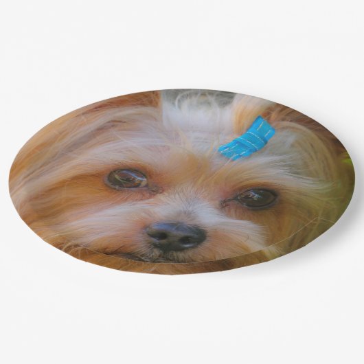 ヨークシャーテリアーヨークシャーテリアお気に入りのブリード ペーパープレート (アングル)